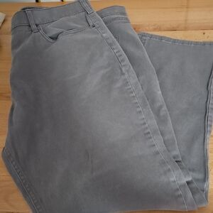 IRON CO. Men Gray Pants 40/30